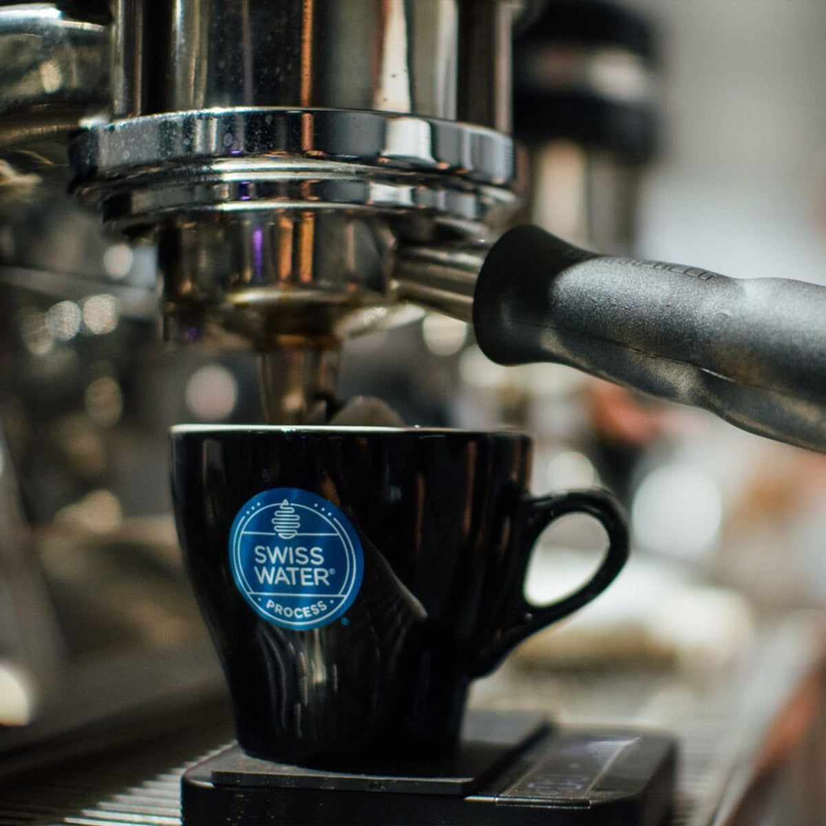 Verena Street medium roast whole beans deliver balanced flavor and aroma.