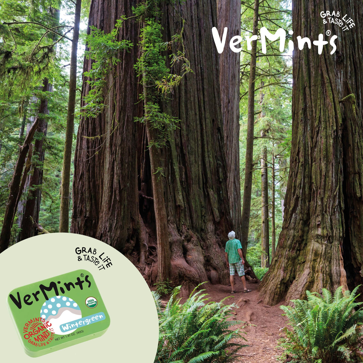 VerMints travel tin in pocket for quick breath refreshment.