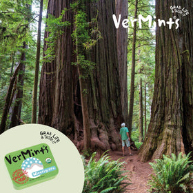 VerMints travel tin in pocket for quick breath refreshment.