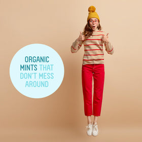 Vermints in purse, travel-ready for quick cinnamon refresh.