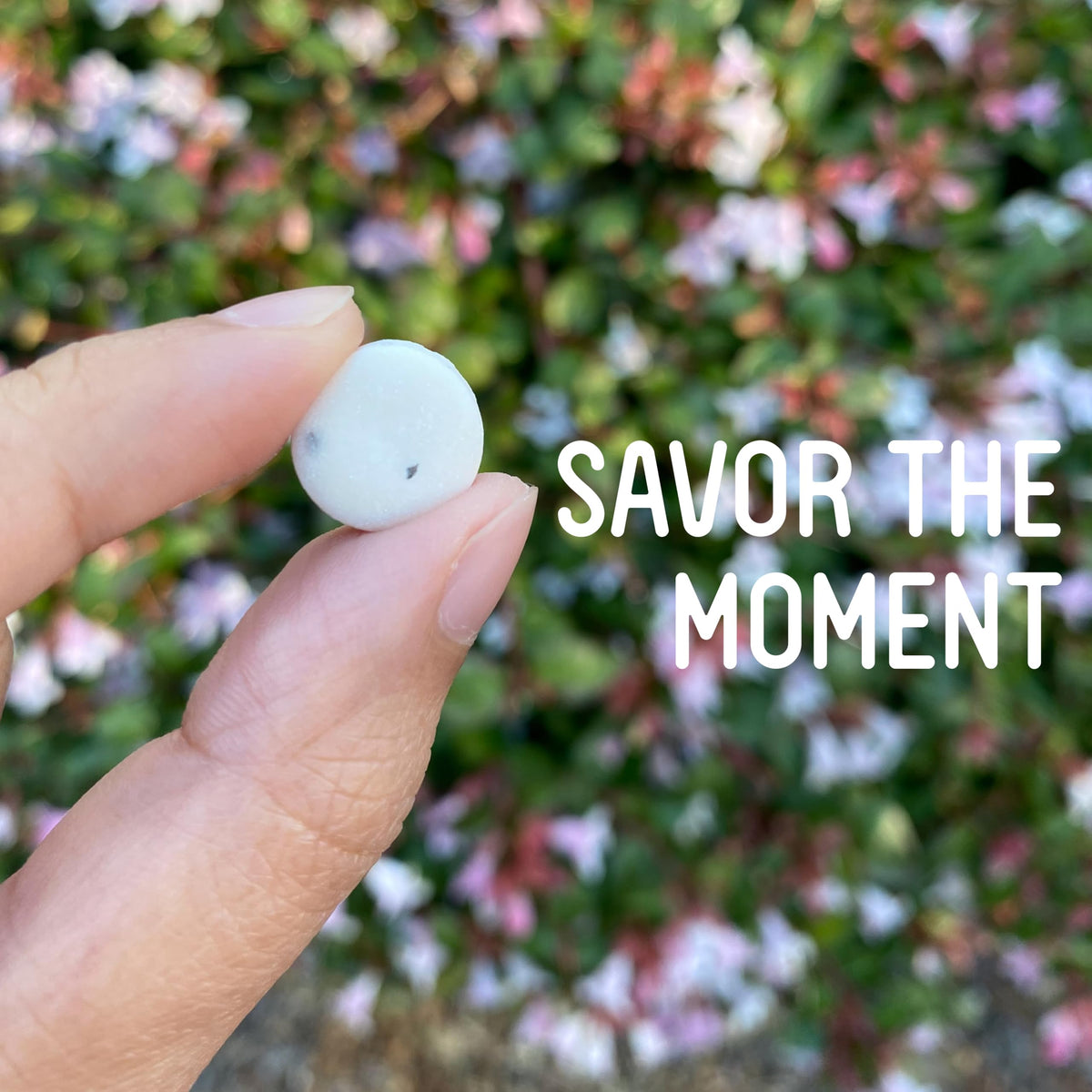 Vermints cinnamon travel pack mints with warm spice aroma for cozy moments.