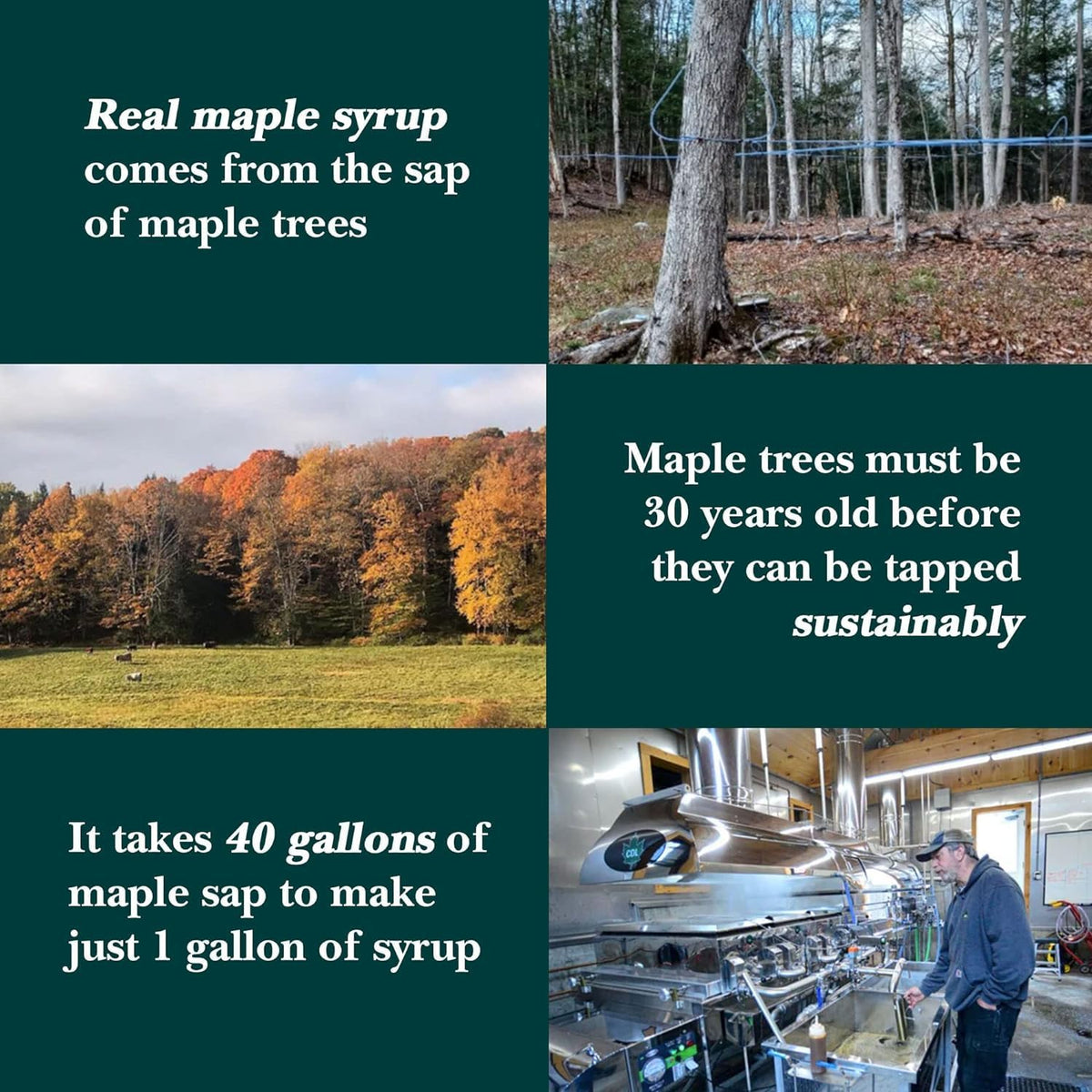 Vermont Maple Syrup Organic Coarse Maple Sugar oat bowl topping inspires breakfast versatility.