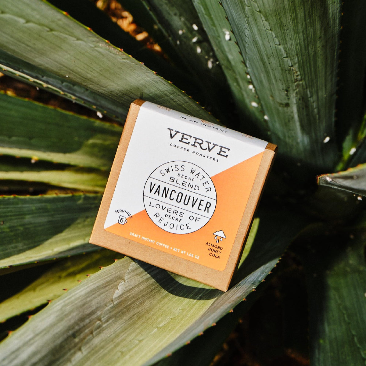 Verve farm-level initiative sourcing highlights ethical farming practices.
