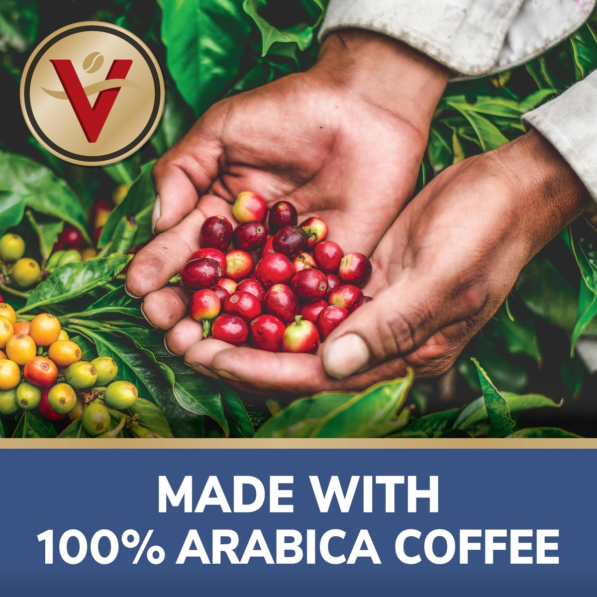 Victor Allen's Across America Las Vegas Roast pods deliver a smooth, rich profile with a caffeine boost.