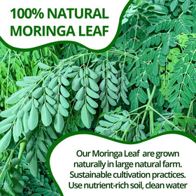 Vida Farm Dried Moringa Leaves collection, hand-picked quality for premium herbal tea