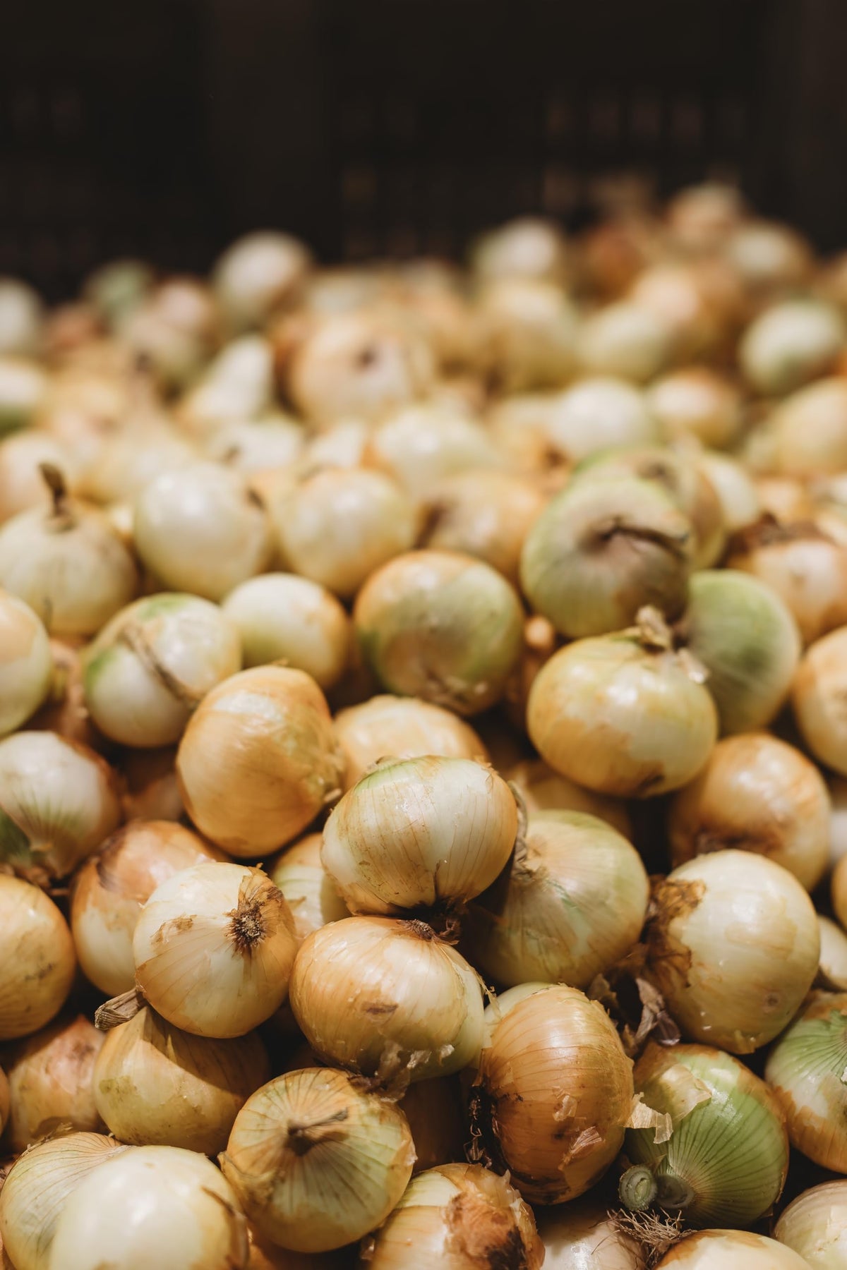 Vidalia Brands fresh Vidalia onion beside kit showcasing naturally sweet flavor