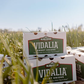 Vidalia Brands Sweet Onion Relish cheese board pairing, elevating casual snacking.
