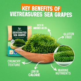 VieTreasures Sea Grapes serving bowl showcases vibrant texture ideal for meals.