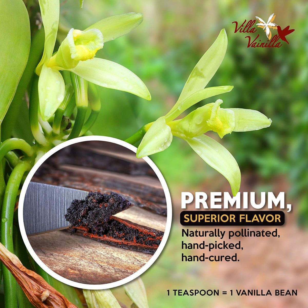 Villa Vainilla Pure Vanilla Extract packaging shows organic, small-batch quality for superior flavor.