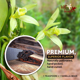 Villa Vainilla Pure Vanilla Extract packaging shows organic, small-batch quality for superior flavor.