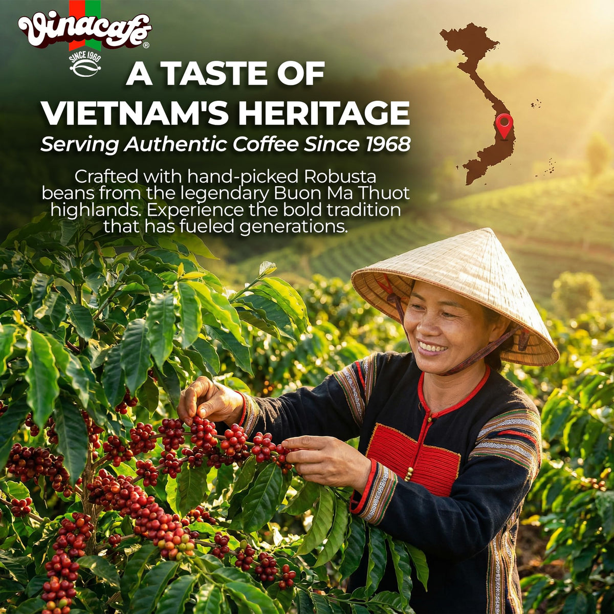 Vinacafe 100-sticks pack ensures long-lasting coffee supply