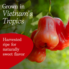 Vinamit-rose-apple-yogurt-topper adds tropical zest to breakfast or yogurt bowls.