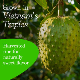 Vinamit soursop ingredients label confirms non-GMO, vegan, gluten-free claim