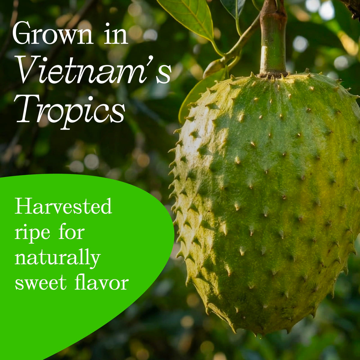 Vinamit travel-friendly tropical snack ready for hikes or commutes