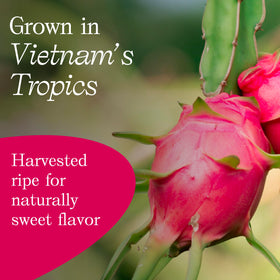 Vinamit dragon fruit slices travel-friendly packaging signals long shelf life.