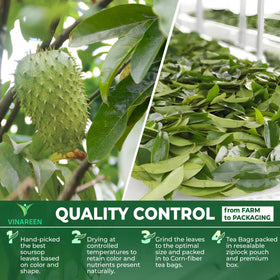 Farm scene for VINAREEN Soursop Leaves Tea handpicked quality
