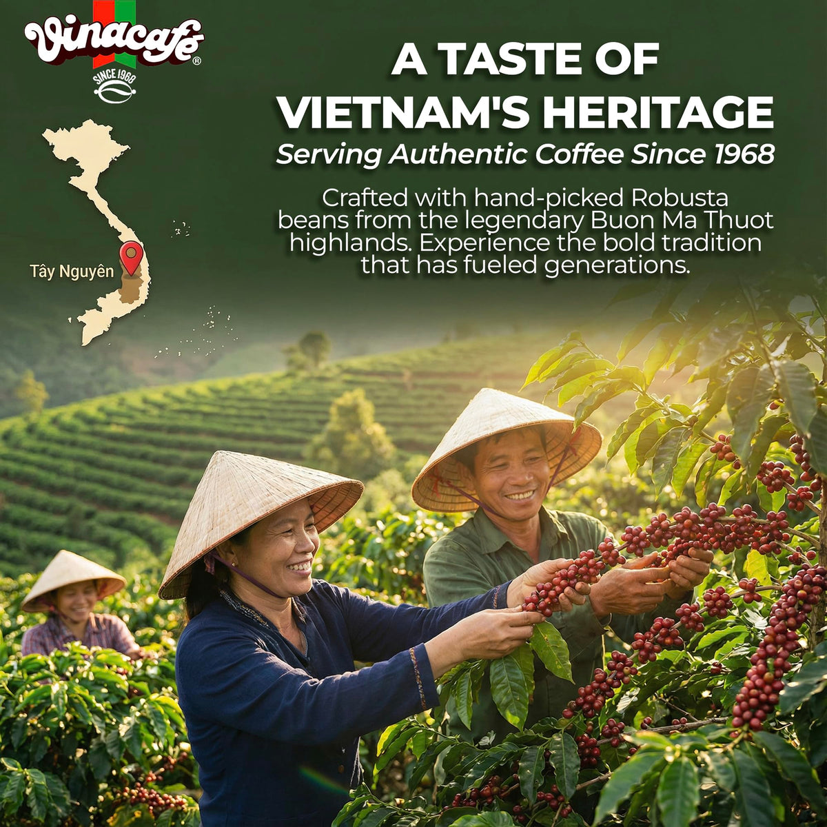 Vinacafe Gold Red Strong two-bags packaging with forty sachets.