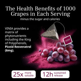 VINIA eco-friendly compostable sachets supporting sustainable tea routines.
