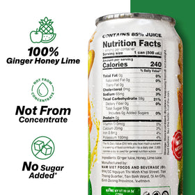 VINUT ginger slice with lime image highlighting zesty aroma and natural ingredients