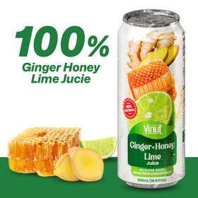 VINUT lime wedge and ginger slice close-up for fresh flavor