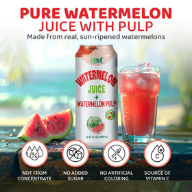 Chilled VINUT Watermelon Juice in a glass for refreshment.
