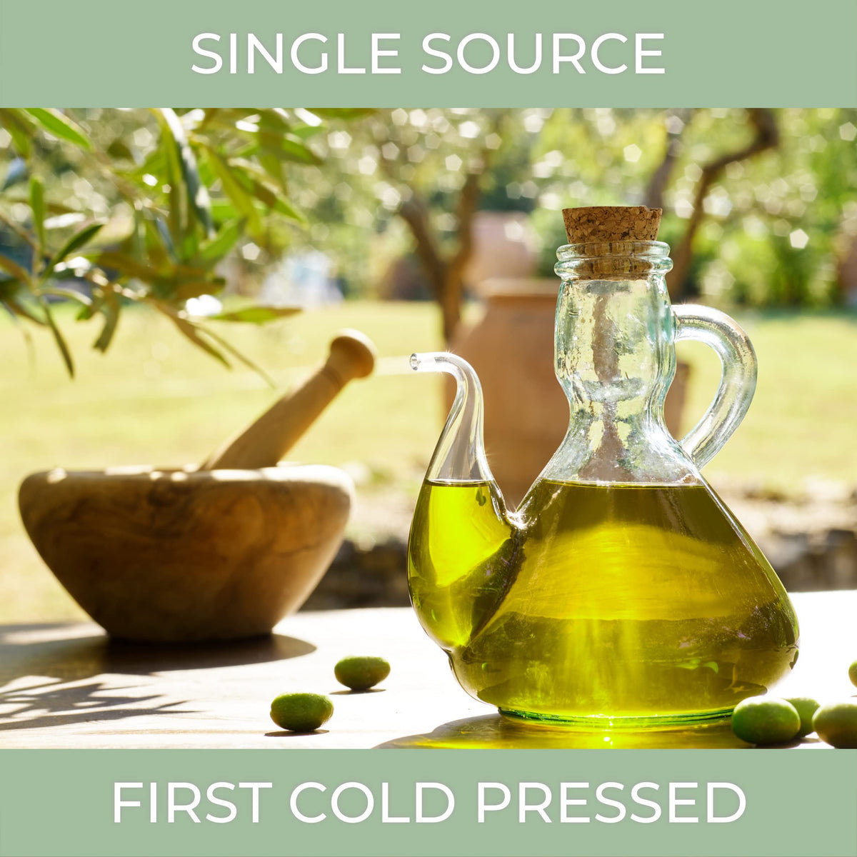 VIRGEEN N°1 hand-harvest olives emphasize small family farm quality.