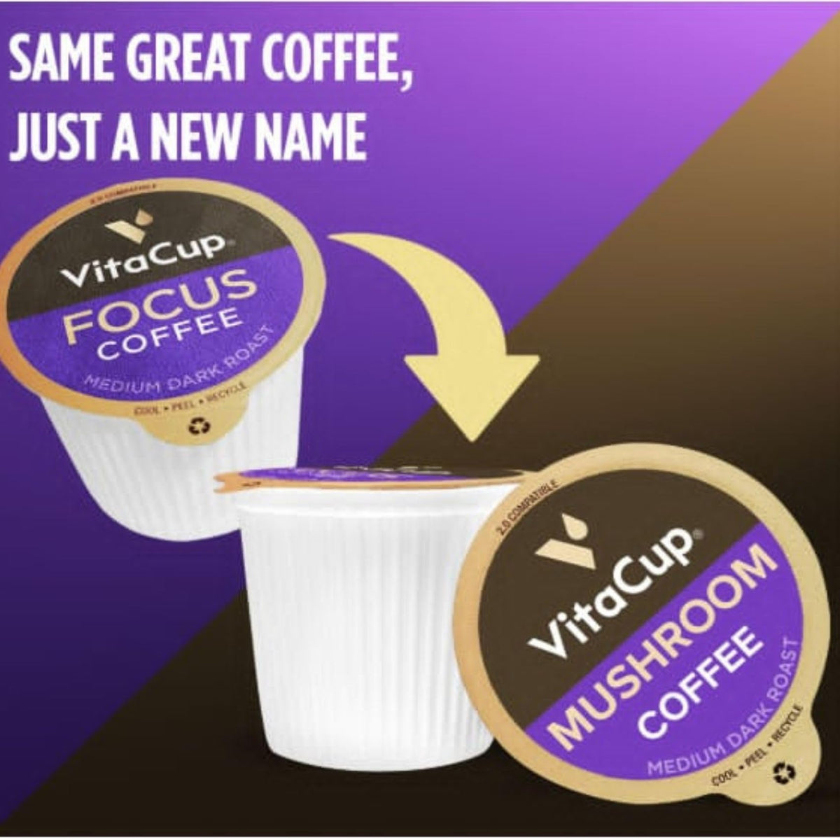 VitaCup Mushroom Coffee Pods reveal B vitamins and D3 for daily energy.