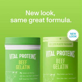 Vital Proteins Beef Gelatin Powder scoop with powder ready for recipes and gelatin-based treats.