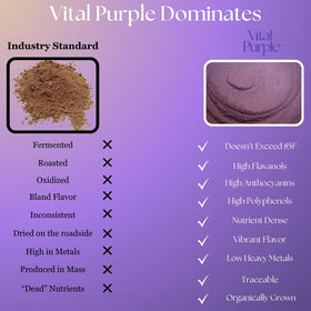 Vital Purple morning-smoothie presents a vibrant, energizing start to the day.