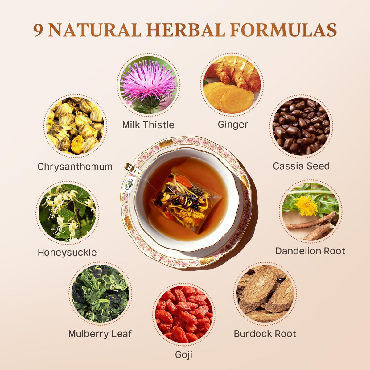 Vital Tea premium loose leaf aroma highlighting freshness and flavor