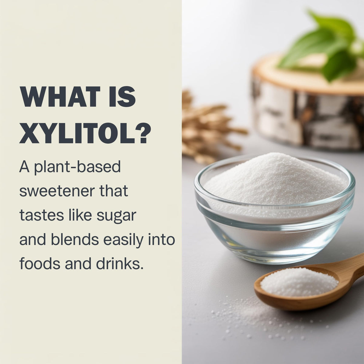 Vitamatic Xylitol Powder bag back label highlights non-GMO and gluten-free notes