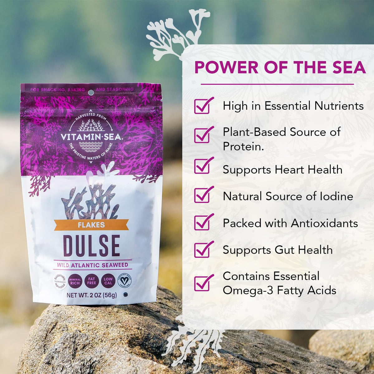 Vitamin Sea Dulse in soup boosts flavor and makes meals more satisfying.