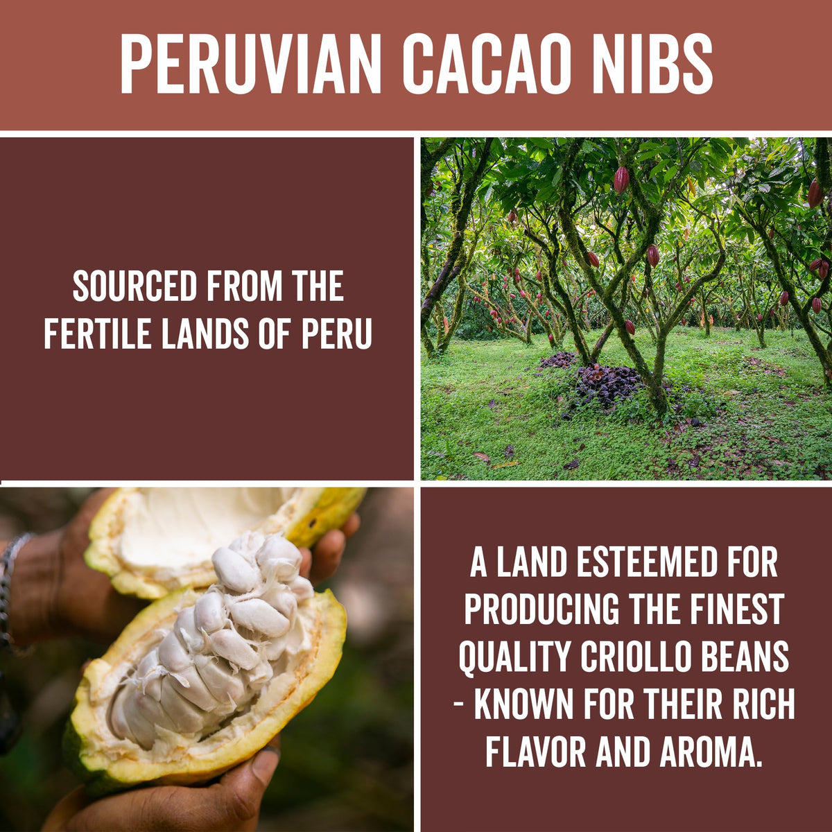 Viva Naturals keto-friendly cacao nibs as a snack idea in a jar