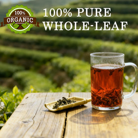 VivaMelhor Oolong tea bags steeping captures balanced infusion and aroma.