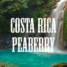 Fresh-roast Volcanica Costa Rica Peaberry pack seals aroma