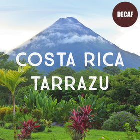 Volcanica Tarrazu decaf cup steaming with inviting aroma for a calm break