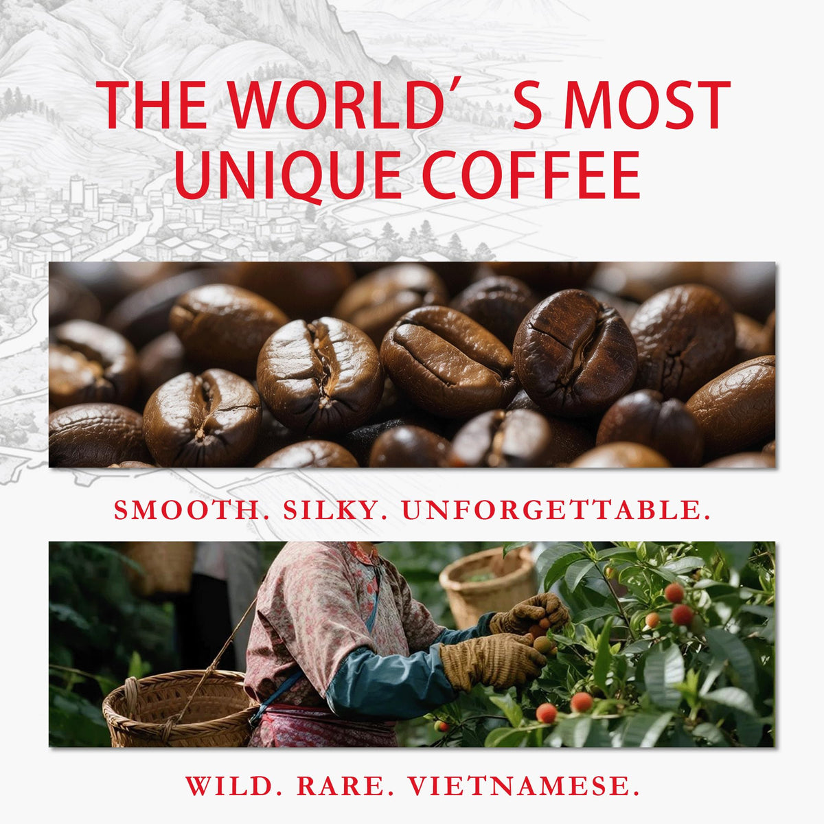 VUNJO Wild Kopi Luwak beans closeup showcasing rich aroma and texture.