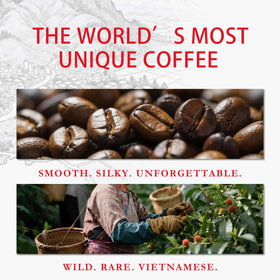 VUNJO Wild Kopi Luwak beans closeup showcasing rich aroma and texture.