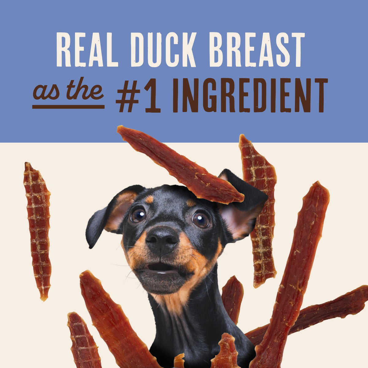 Waggin' Train duck jerky tenders ingredients panel emphasizes simple, natural components.