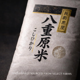 WagyuMaster Koshihikari short-grain close-up grains shows glossy kernels suited for sushi and meals.