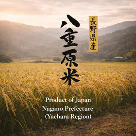 WagyuMaster spring-water nourishment scene emphasizes mineral-rich irrigation for aroma.