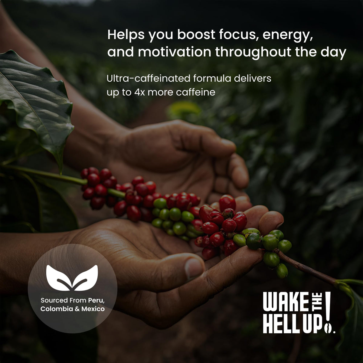 Wake The Hell Up! Ground coffee scoop showing smooth, low-acid profile for everyday brews.