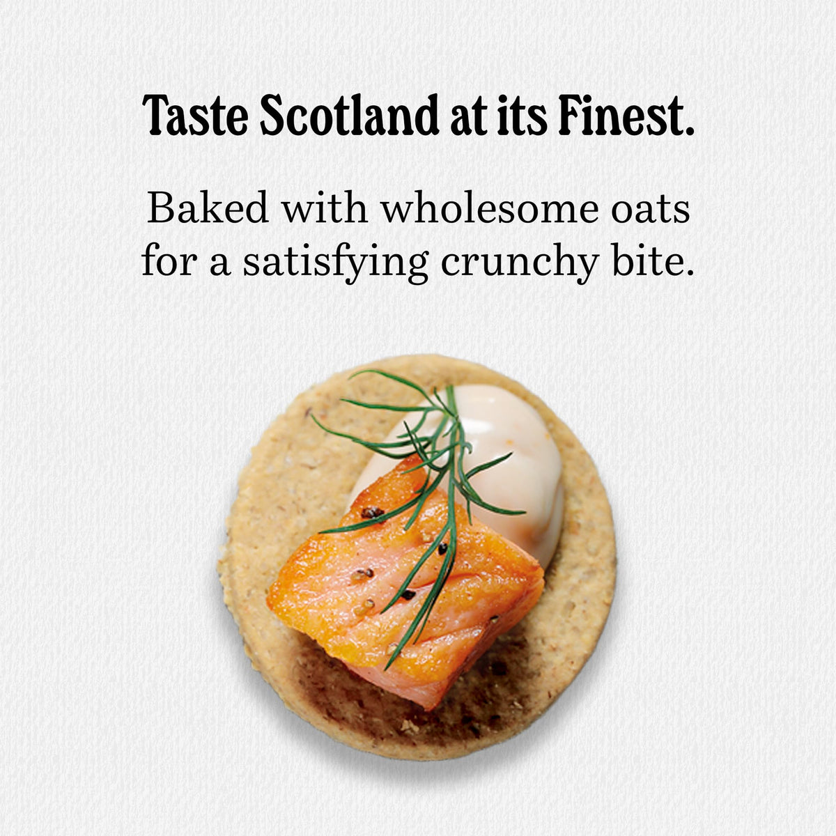 Walkers Highland Oat Crackers oats close up highlighting wholesome grains