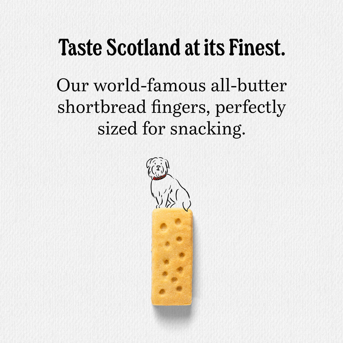Walker's Shortbread Mini Fingers pack shot—shareable multi-pack for picnics.
