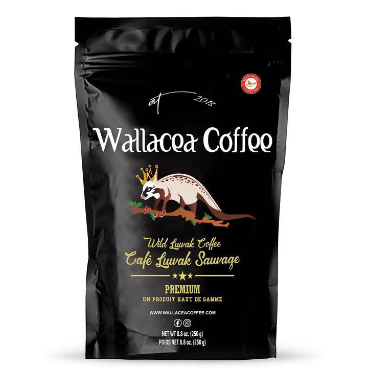 Wallacea Kopi Luwak wild beans ground-ready for a premium aroma