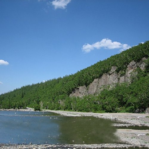 Wananfu Schisandra origin image from Changbai Mountains