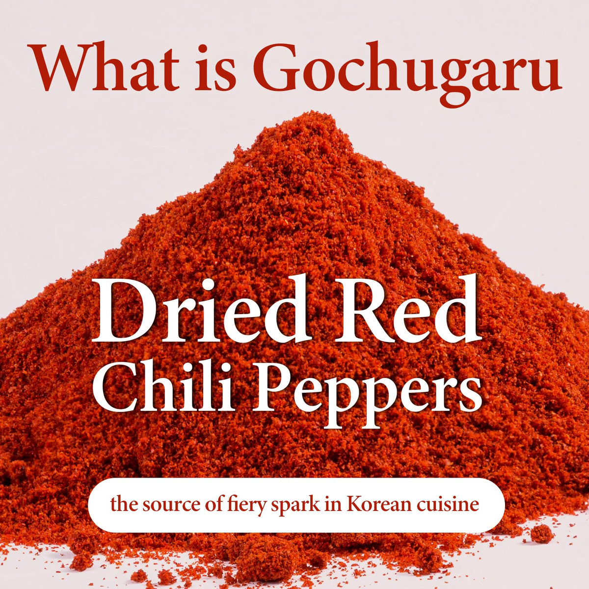 Colorful pantry setup featuring Wang sun-dried gochugaru for cooks.