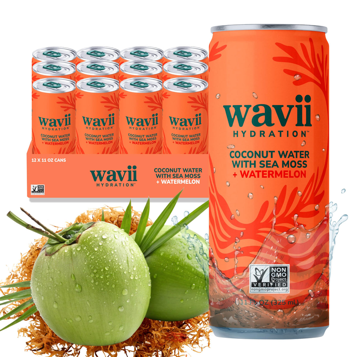 Wavii coconut water with sea moss watermelon can shows mineral-rich hydration.