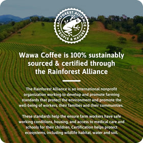 Wawa coffee being poured as iced coffee for a versatile cold brew option