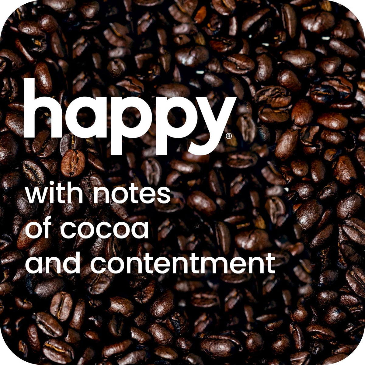 100% Arabica beans from Central and South America for balanced flavor.